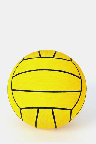 Water Polo Ball