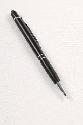 Sharks Pen