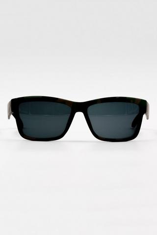 Wayfarer Sunglasses