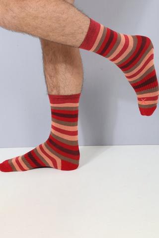 Crew Socks