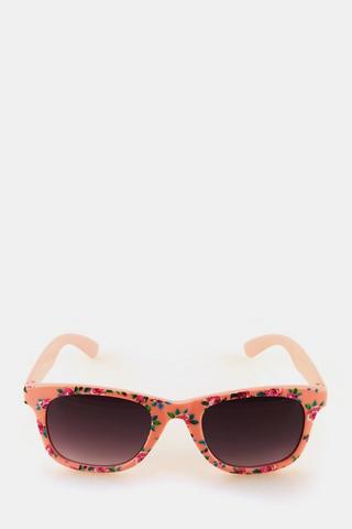 Wayfarer Sunglasses