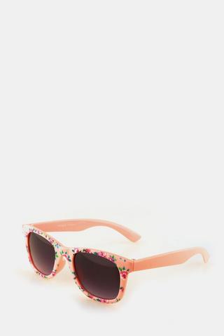 Wayfarer Sunglasses