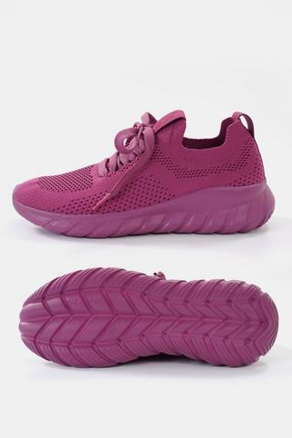 Nova Gym + Studio Trainer