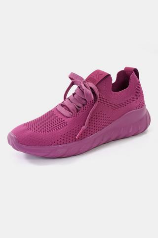 Nova Gym + Studio Trainer