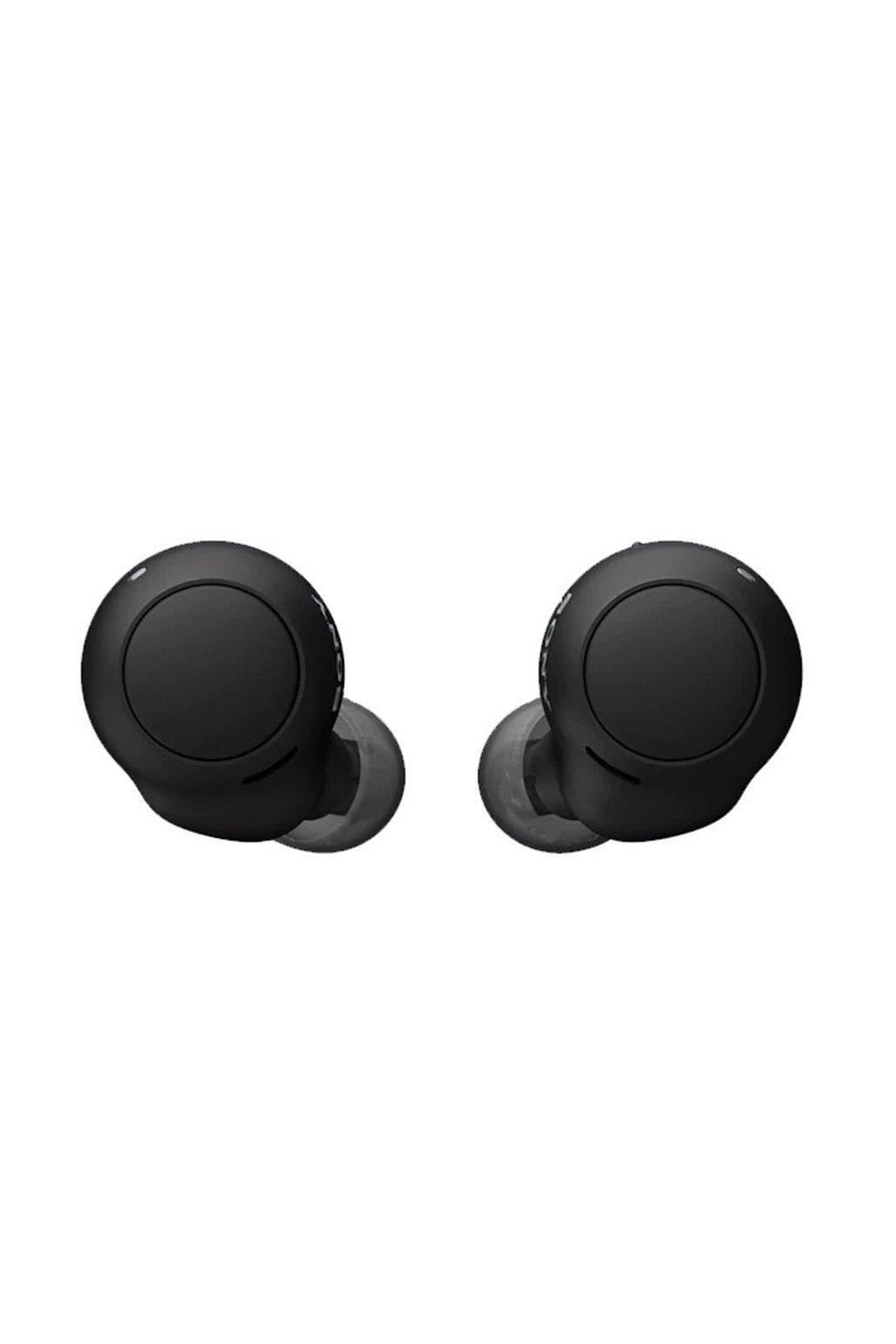 Sony True Wireless Earbuds 9582