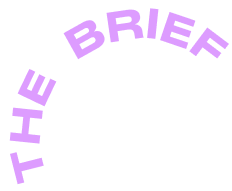 THE BRIEF text