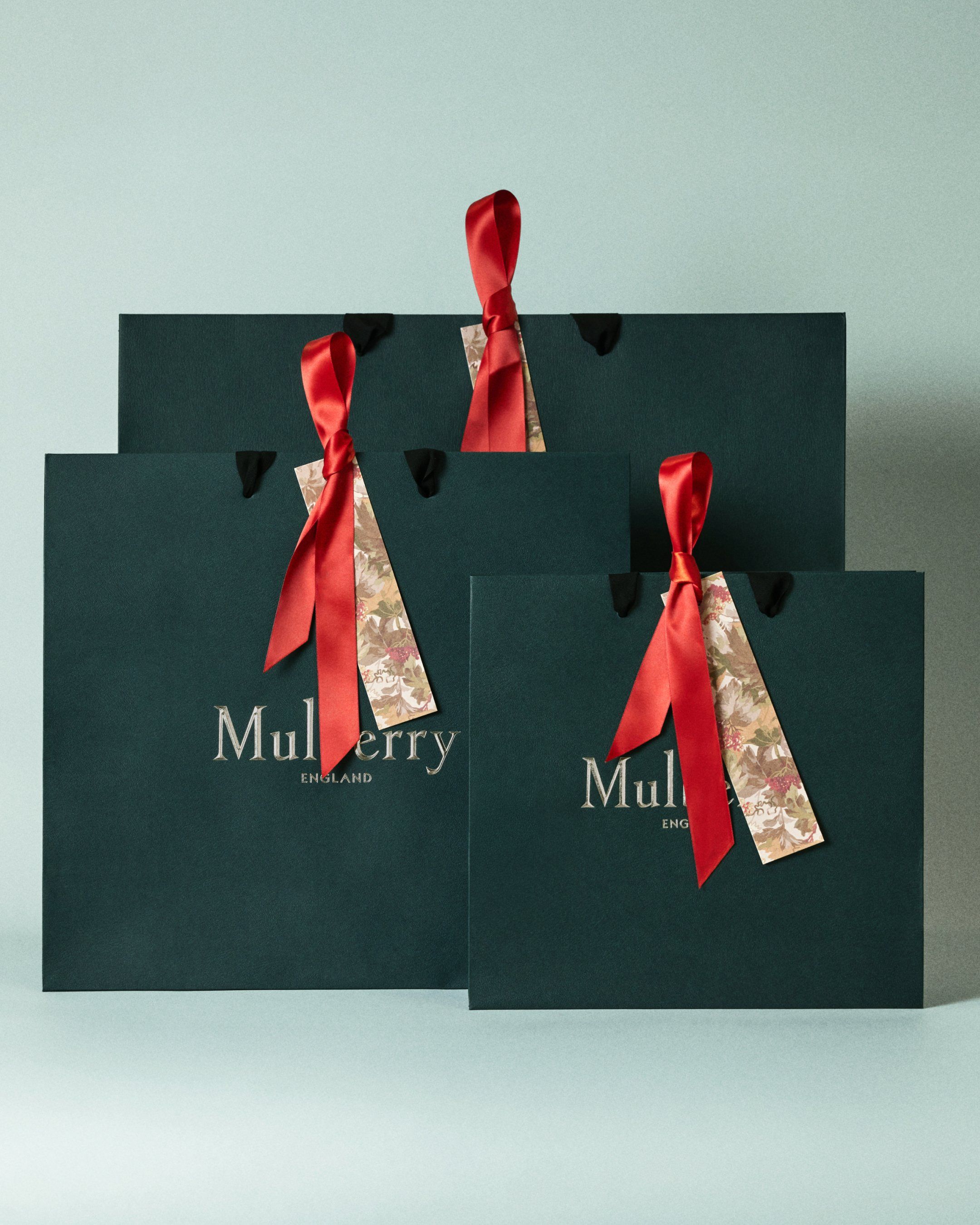 Group shot of Festive Mulberry packaging