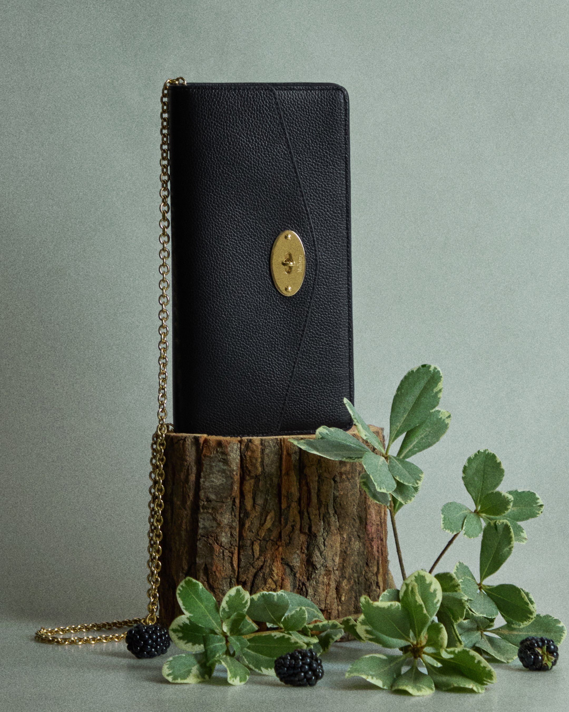 Darley Clutch in Black on log