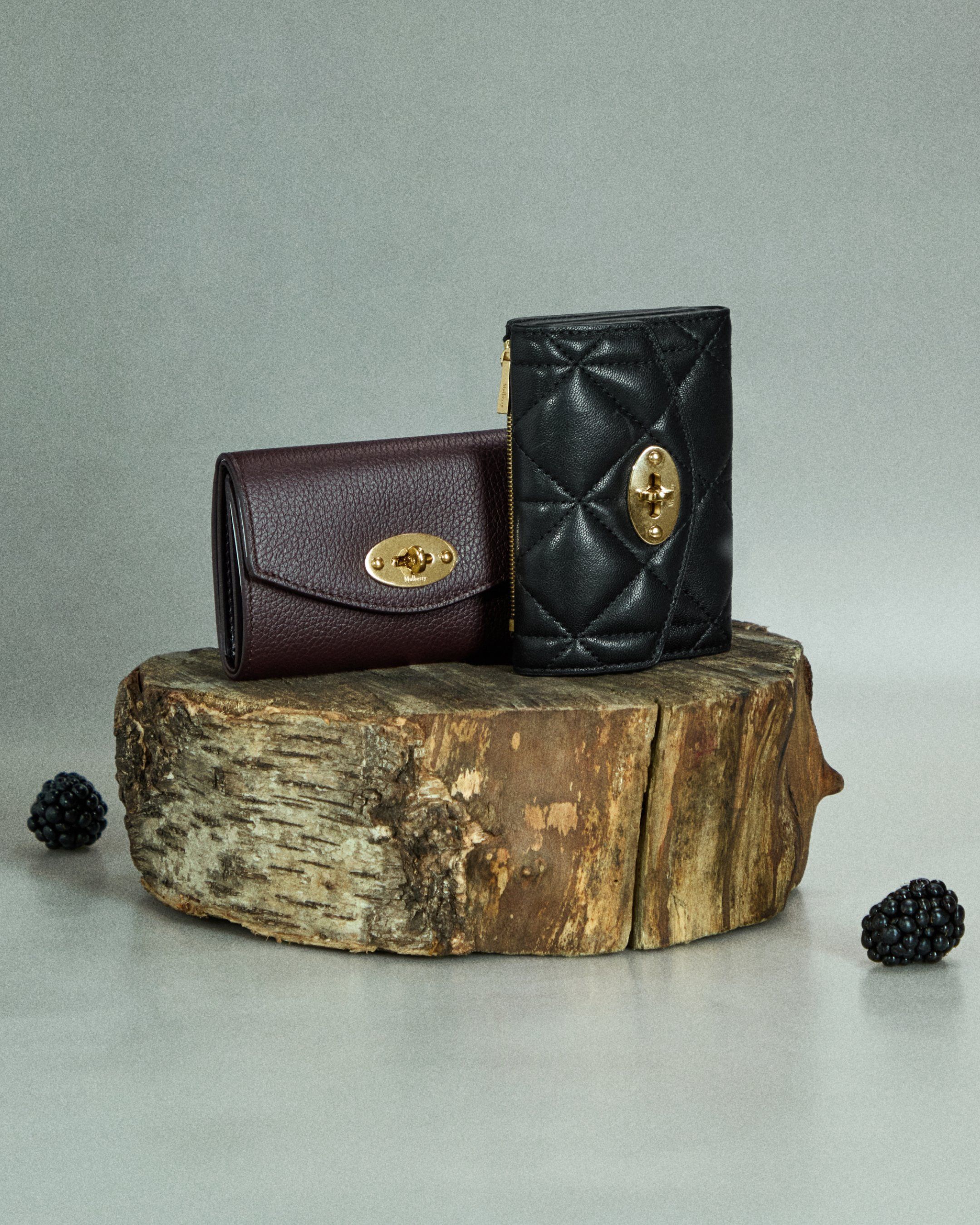 Group shot of Darley Purses on Log