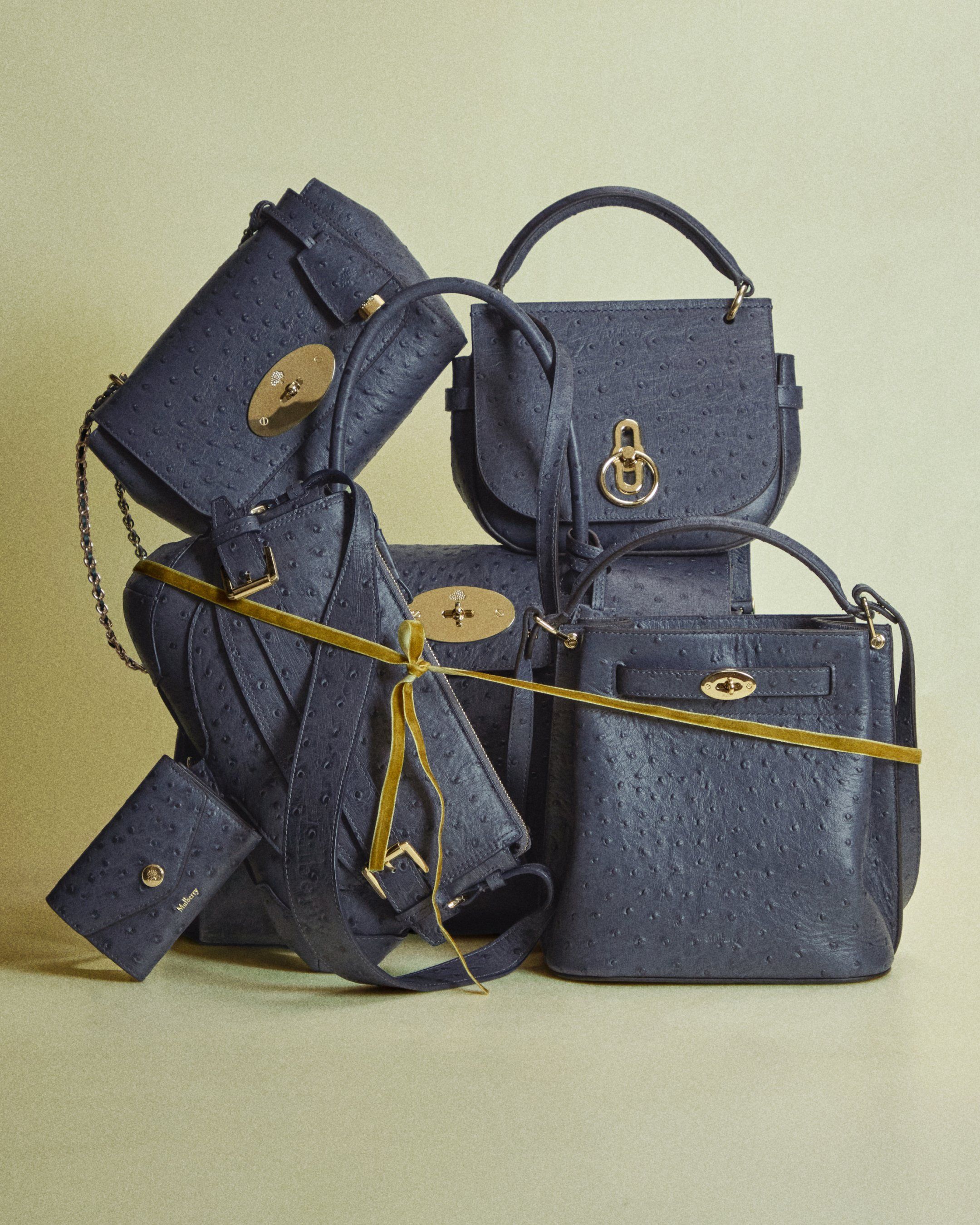 Stormy Blue Groupshot