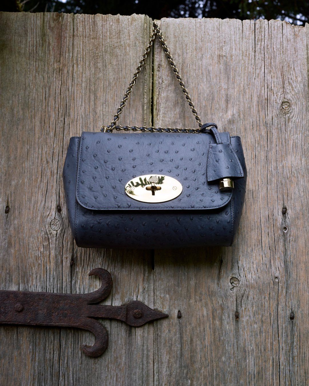 Image of Lily Ostrich hanging on door