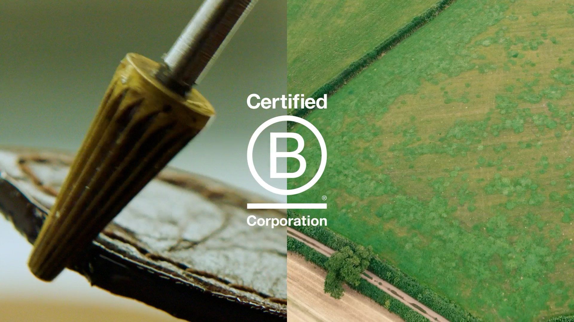 Mulberry certified B corporation logo