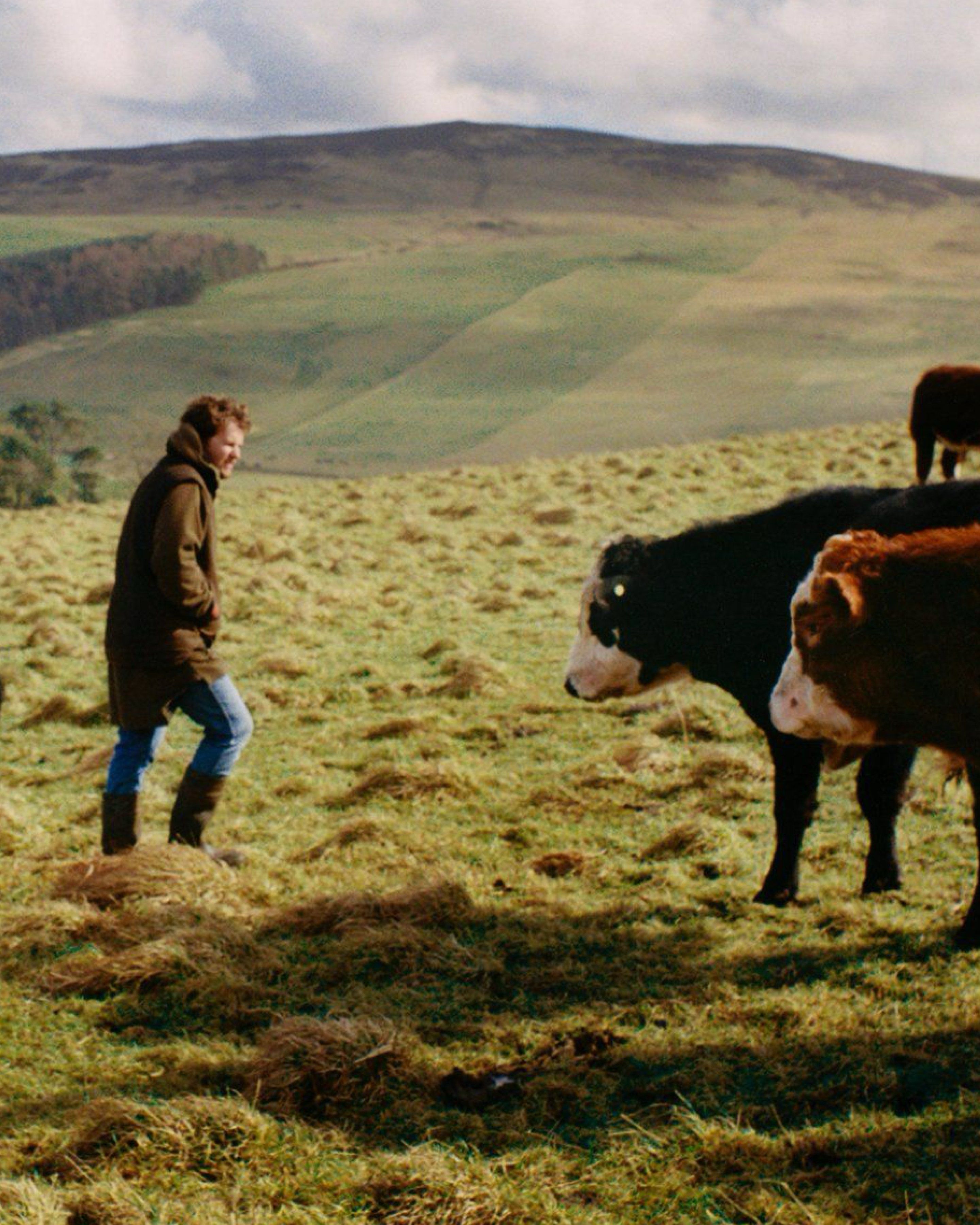 Farmer with cows