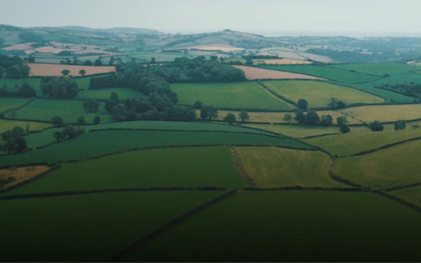 English countryside with green fields