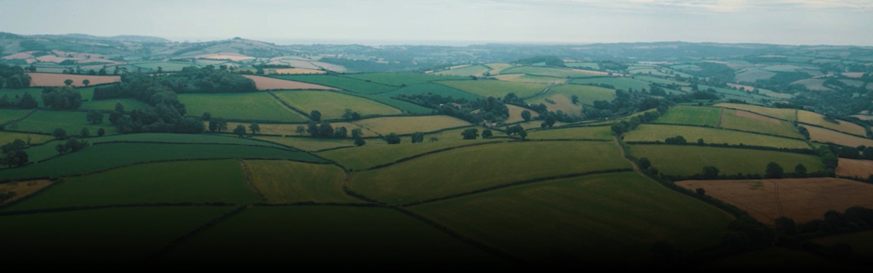 Landscape of green fields