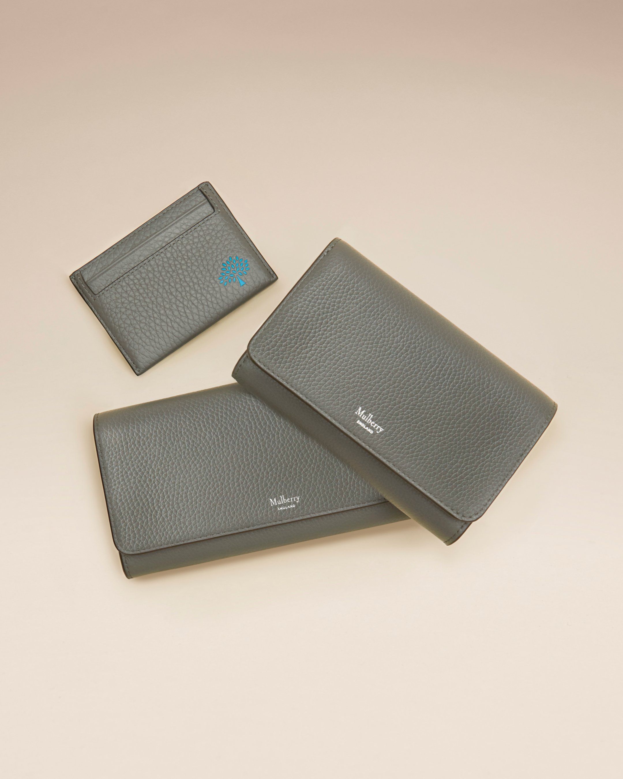 Trio of Mulberry credit card slip, continental wallets in Charcoal