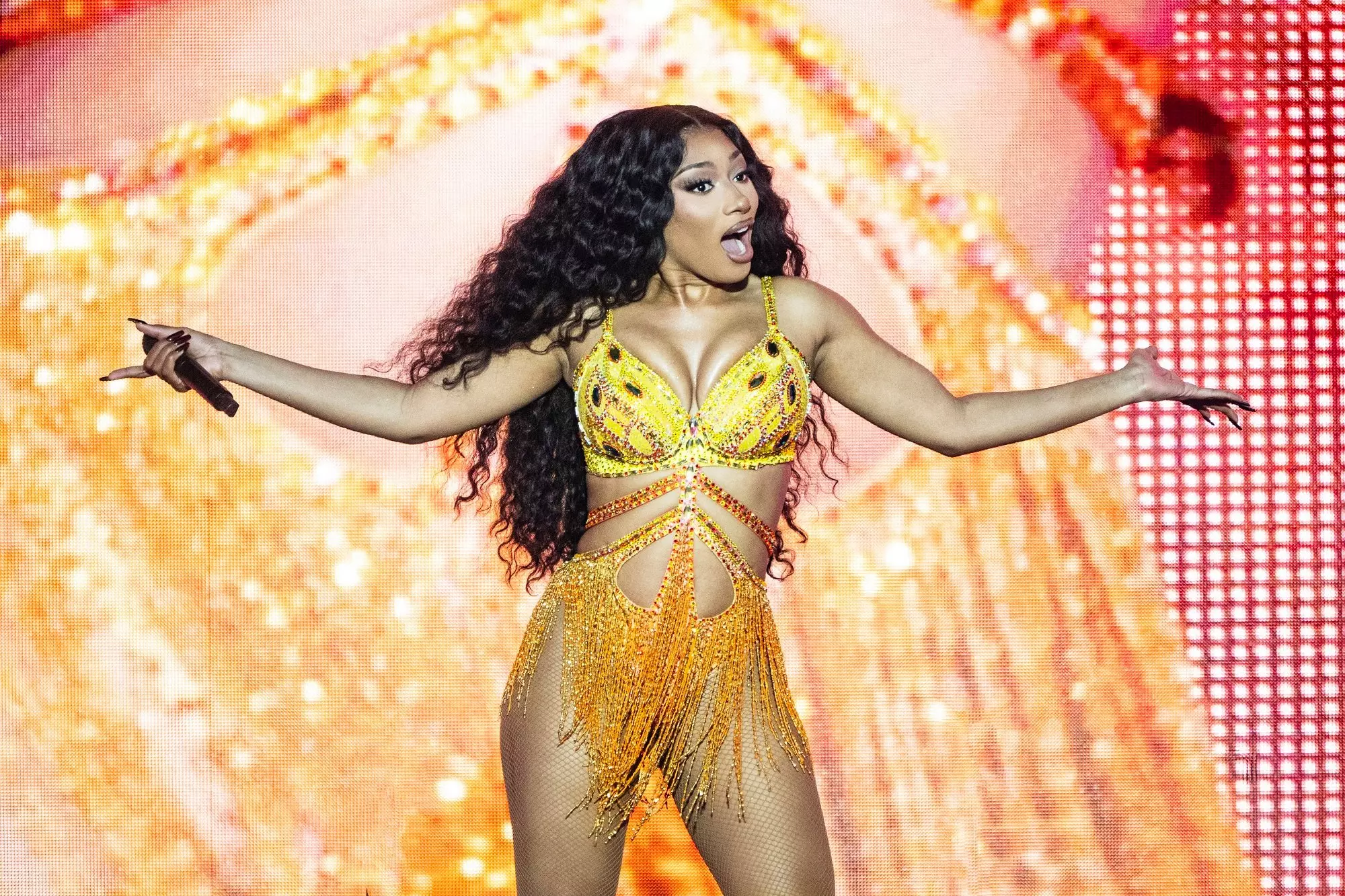 Megan thee stallion cartoon