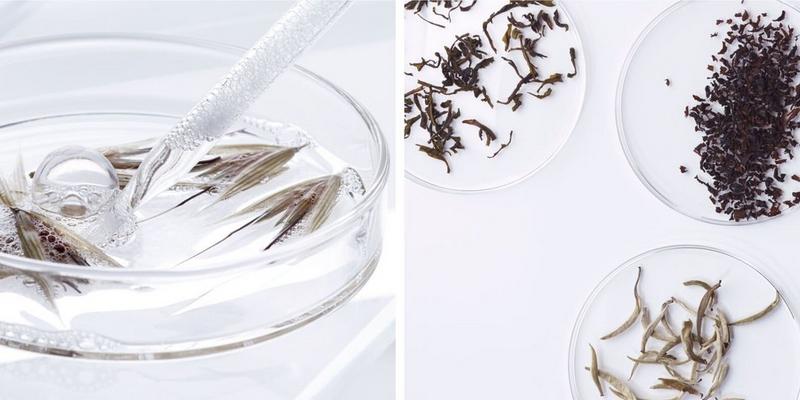 茶和燕麦萃取物
