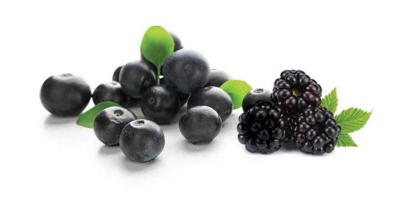 Healthy Diet
