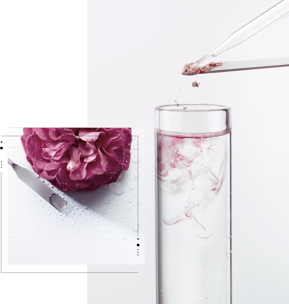 Clean Formula