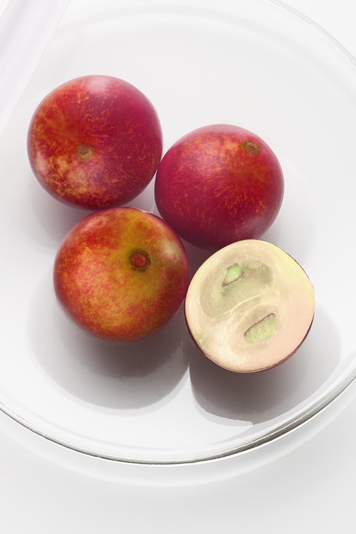 What Is Camu Camu? | Noble Panacea UK