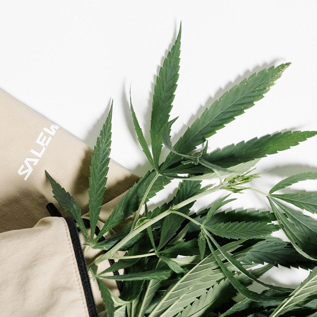 ALPINE HEMP