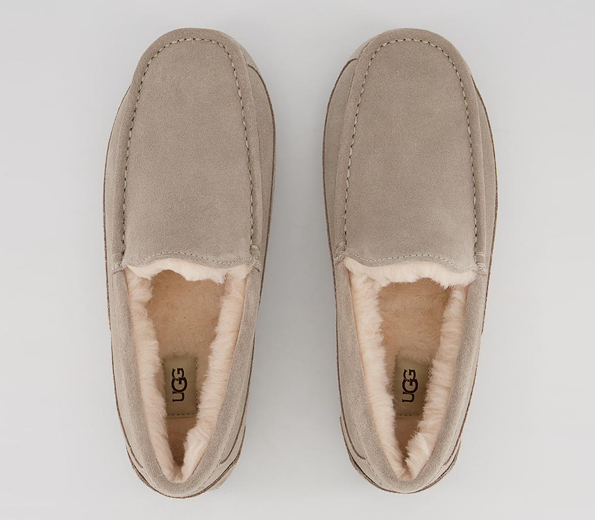 UGG Ascot Slippers UGG Ascot Slippers Pumice