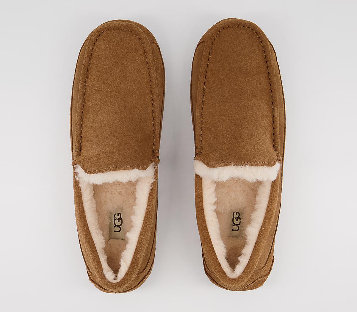 UGGAscot Slippers UGGAscot SlippersChestnut