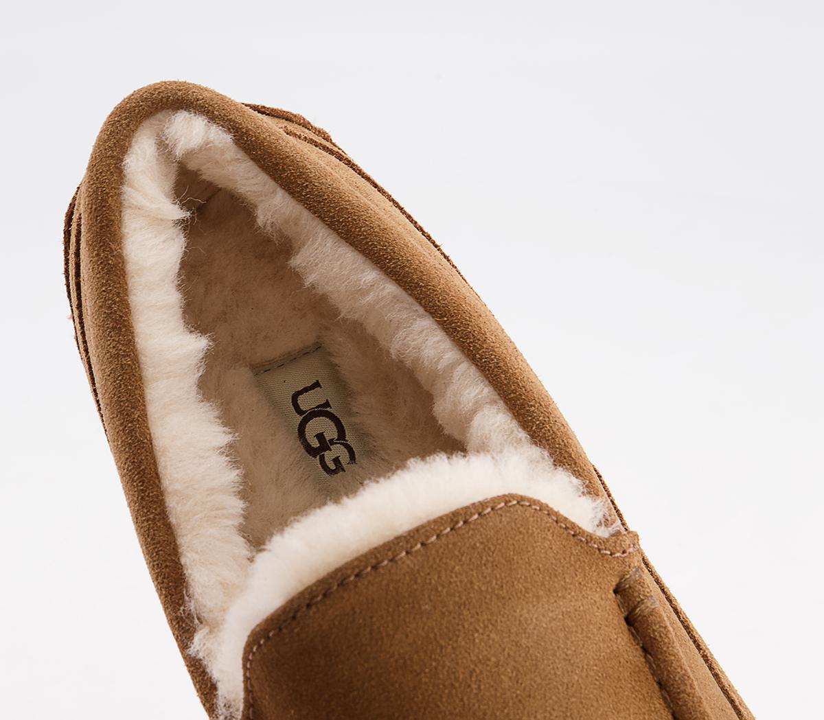 UGGAscot SlippersChestnut