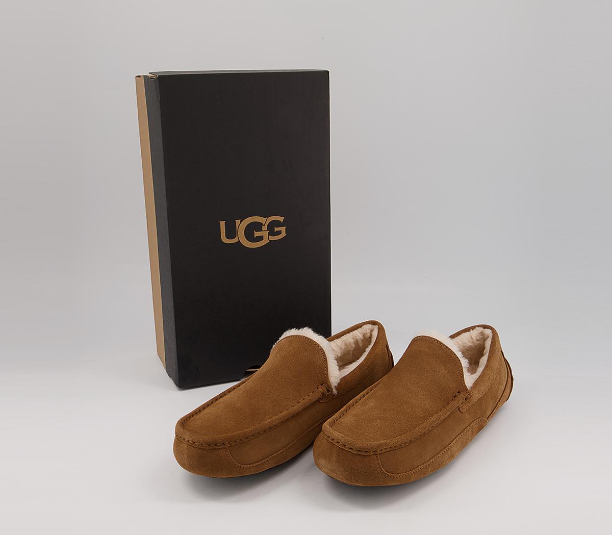 UGGAscot Slippers UGGAscot SlippersChestnut