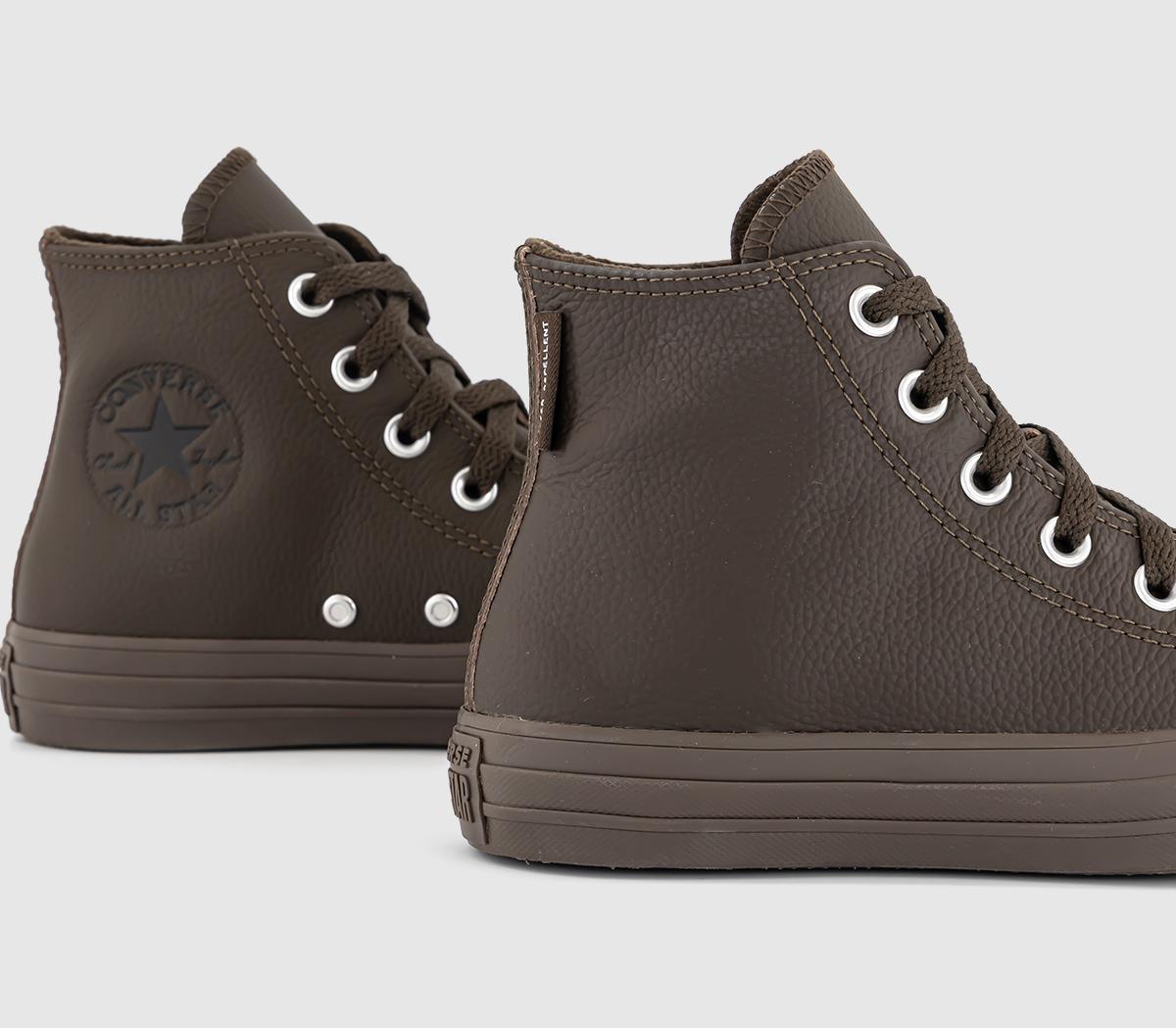 ConverseConverse All Star Hi TrainersFresh Brew Black Light Dune