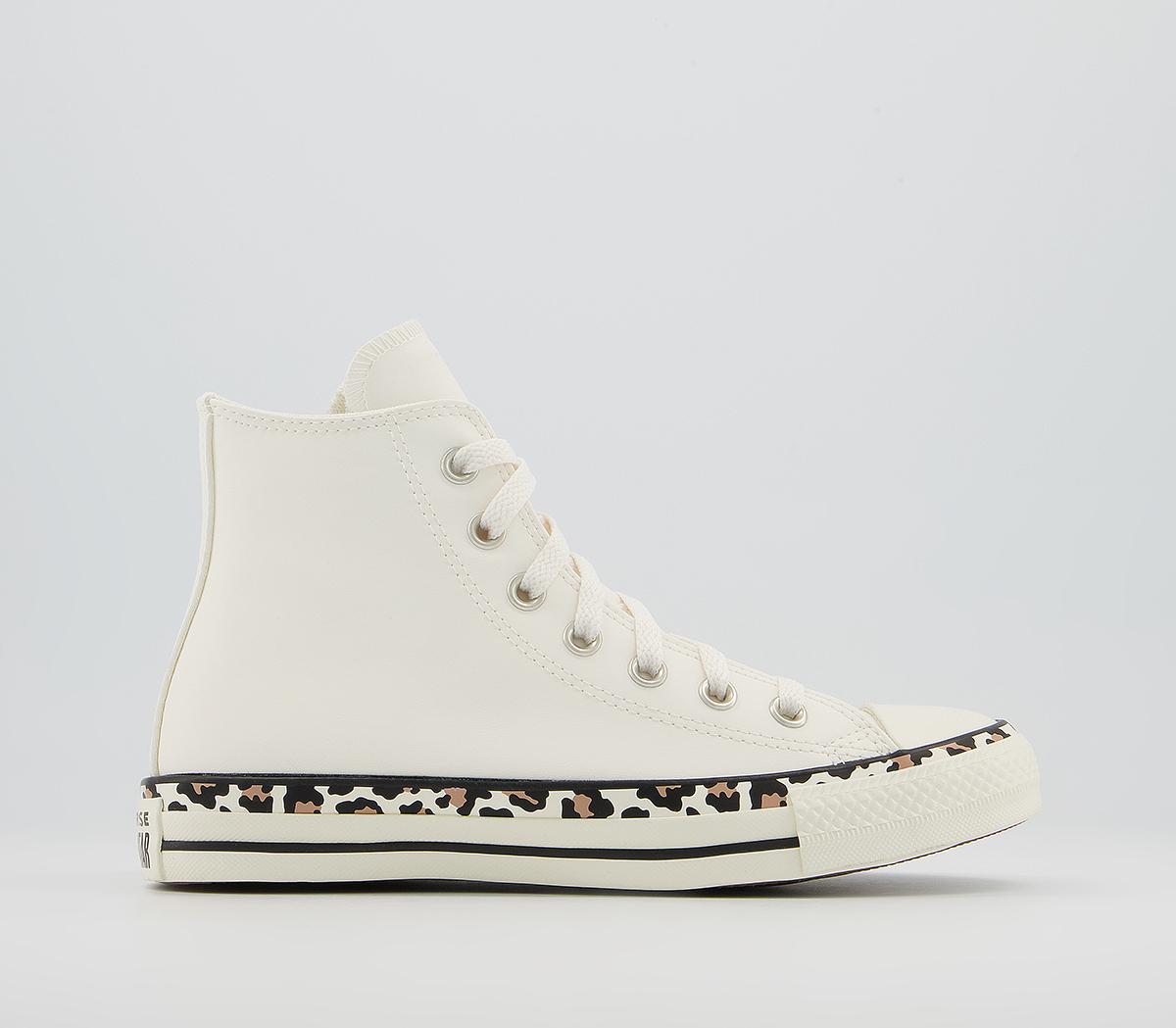 office converse leopard