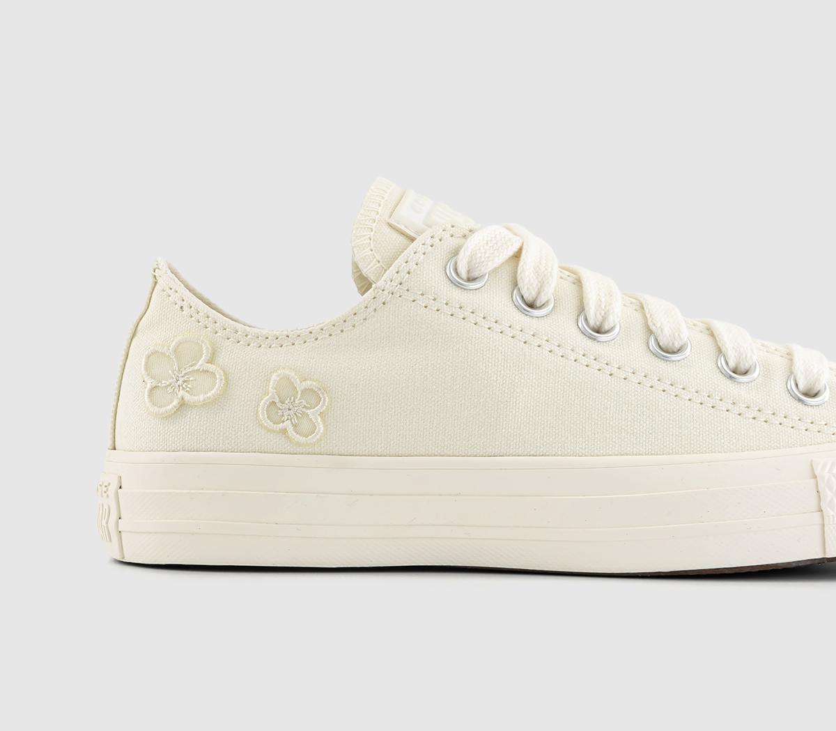 Converse Converse All Star Low Trainers Converse Converse All Star Low Trainers Egret Egret Purple