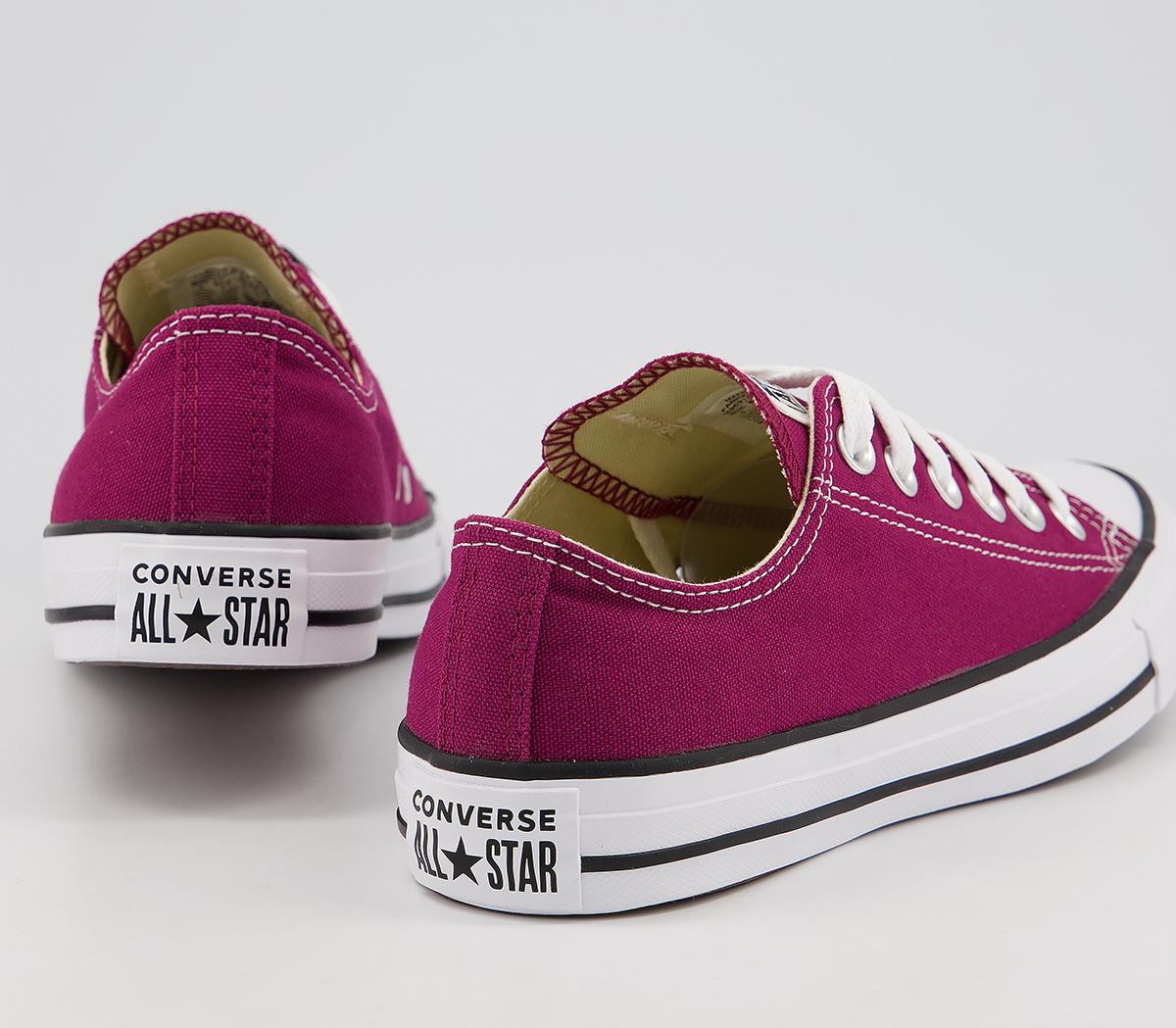 converse all star low maroon canvas