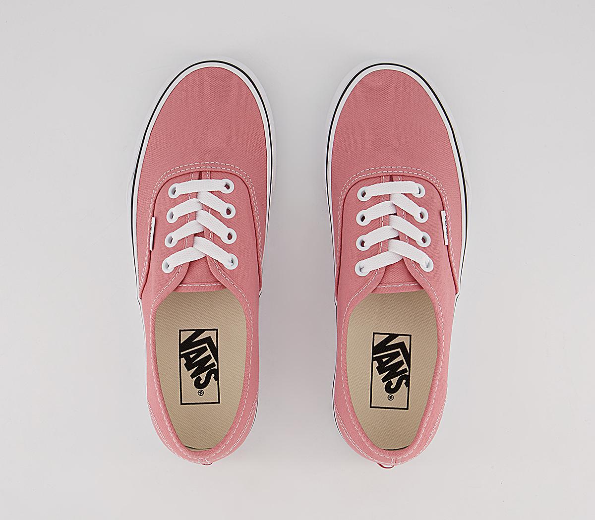 Vans Authentic Trainers Vans Authentic Trainers Rosette White