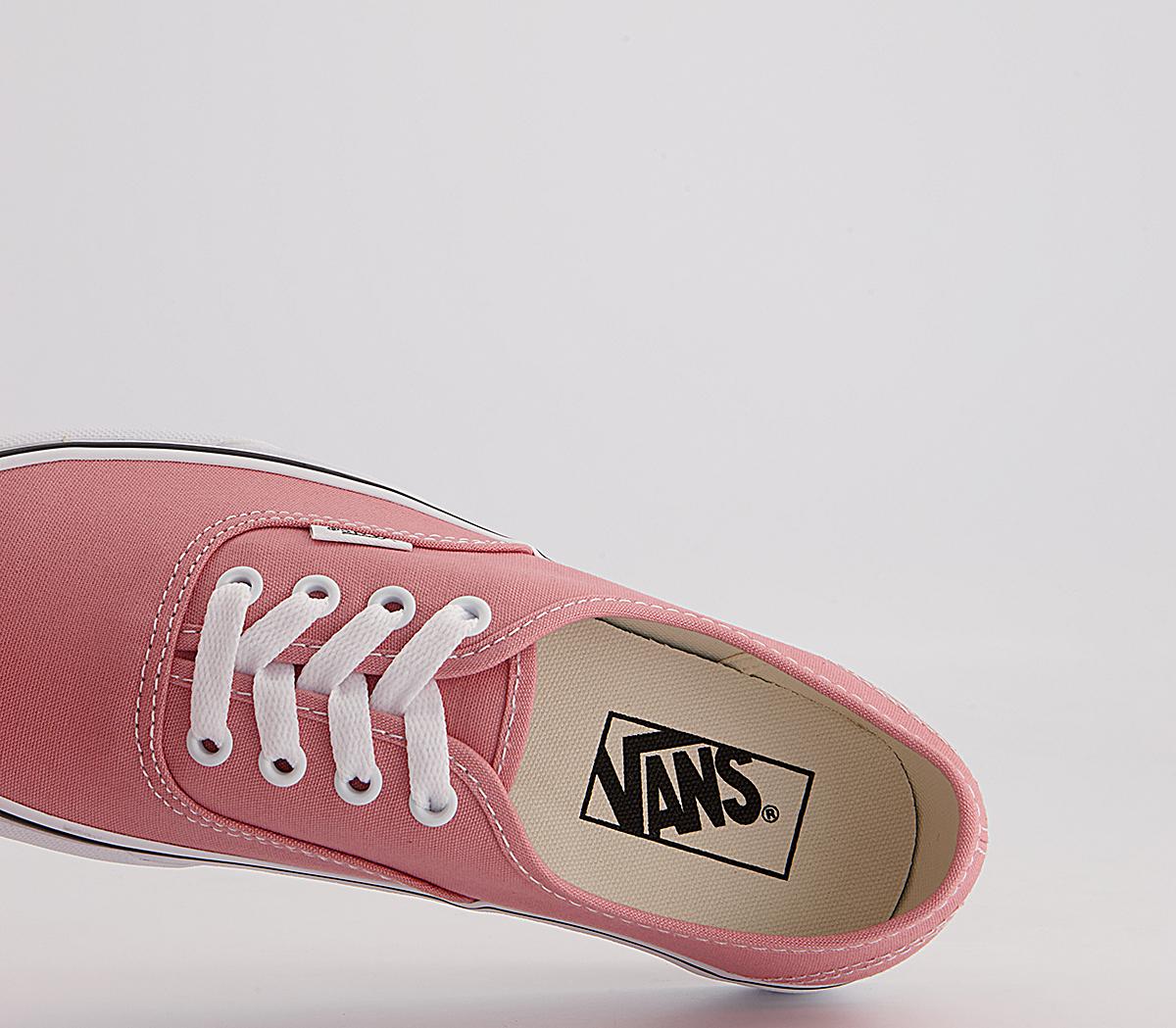Vans Authentic Trainers Vans Authentic Trainers Rosette White