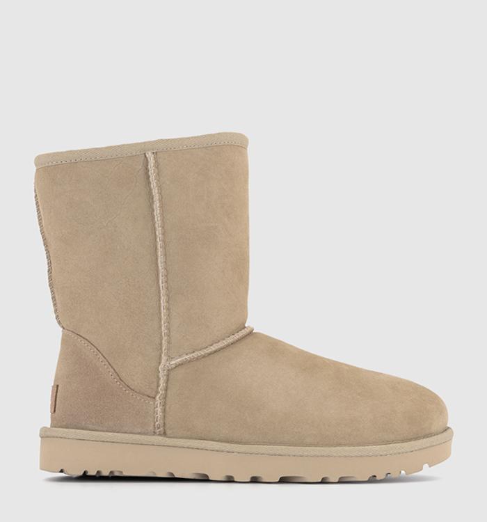 Ugg classic store short antilope