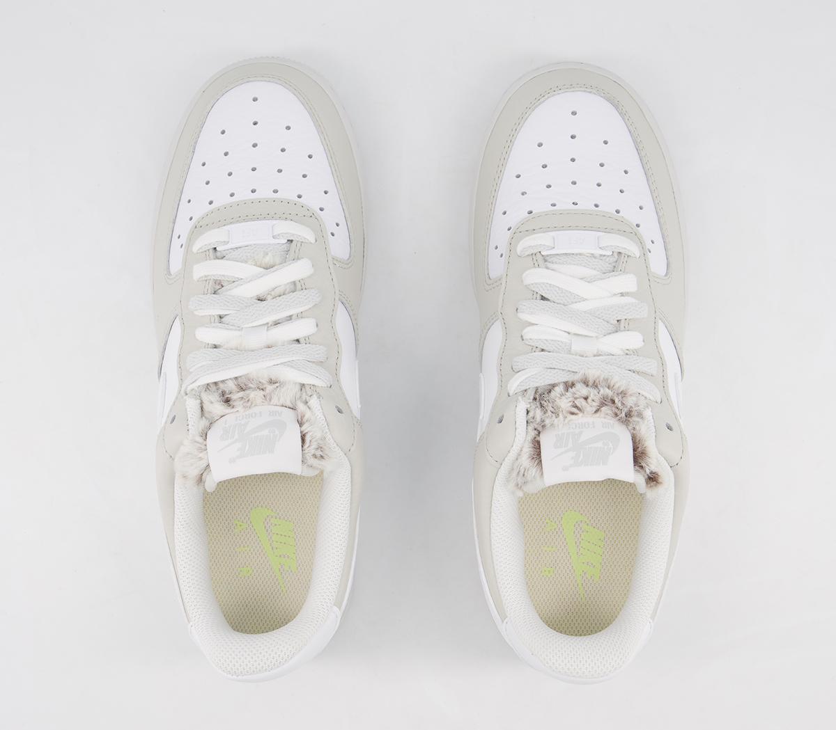 light bone photon dust