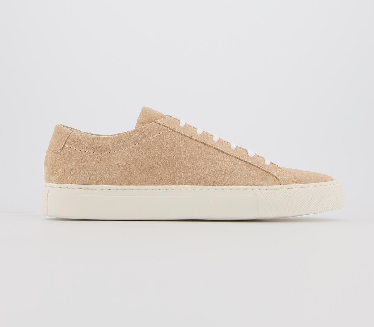Common ProjectsAchilles Low TrainersAmber Suede
