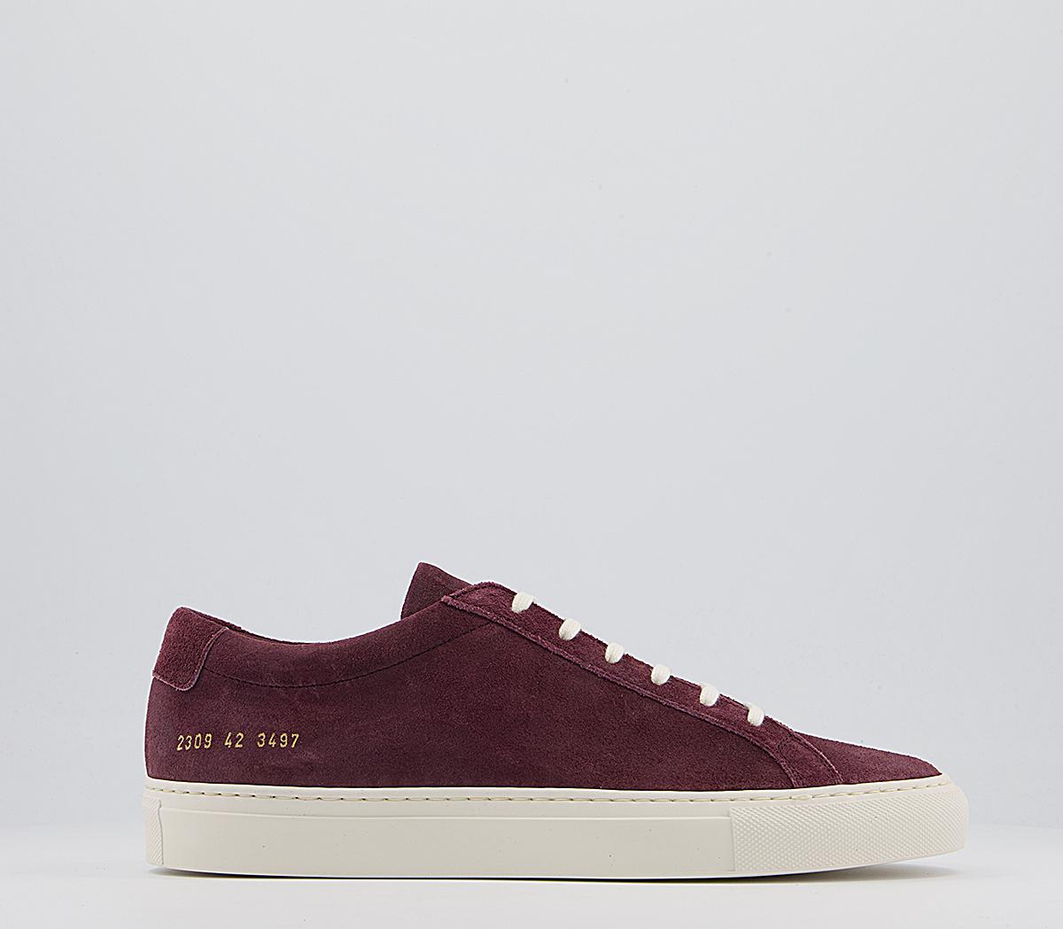 Common projects discount achilles low bordeaux