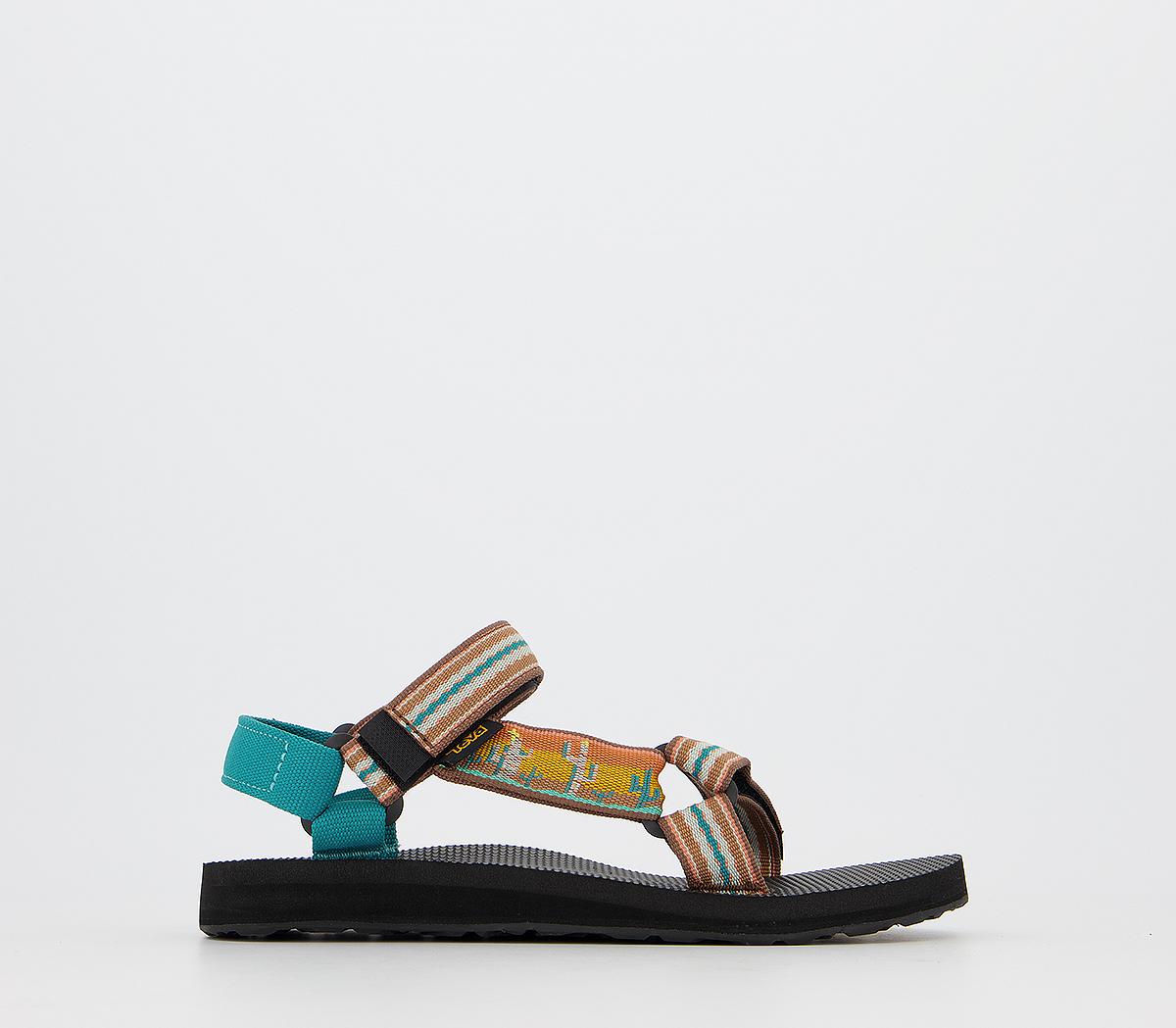 Cactus sunflower teva new arrivals