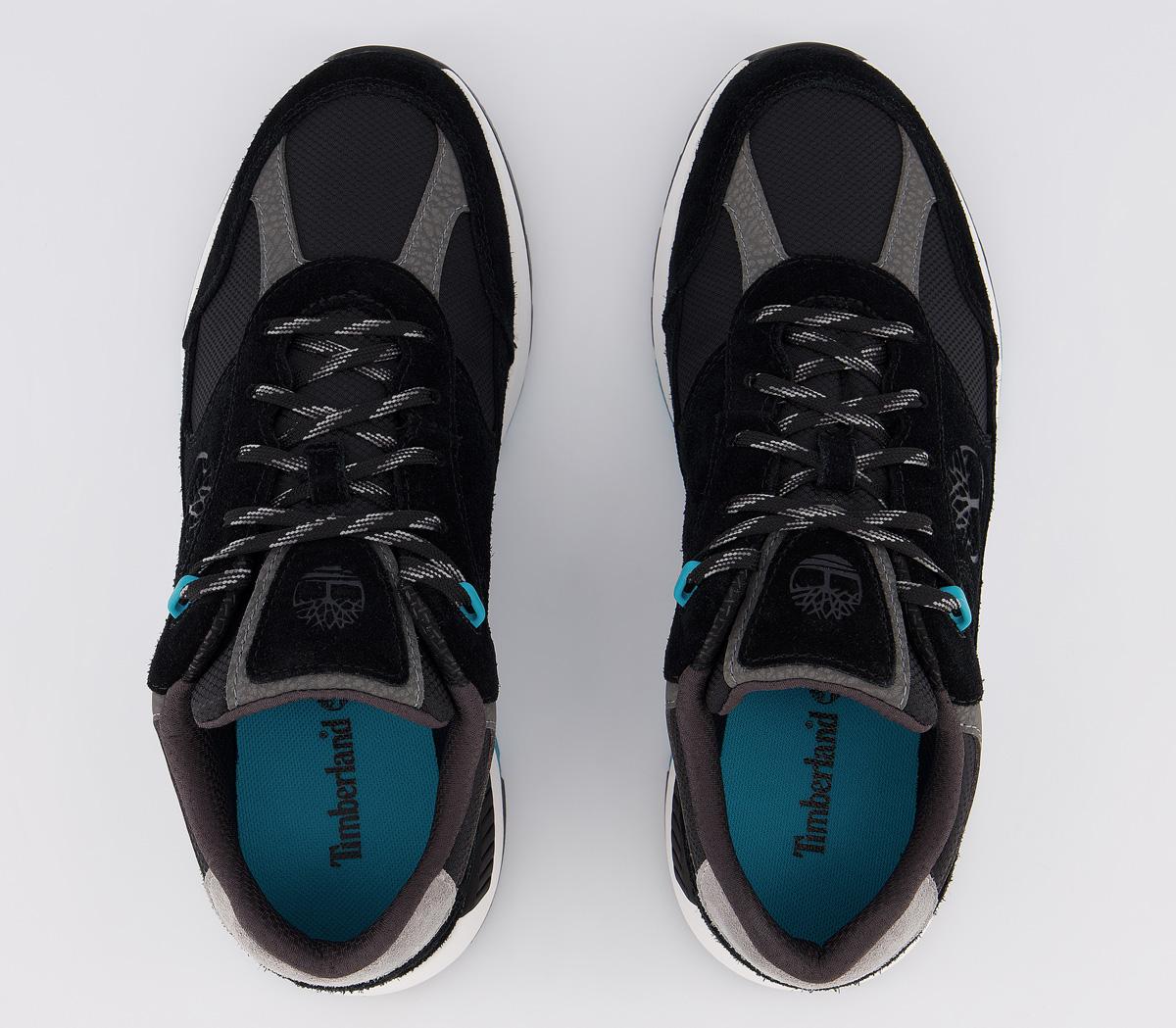 TimberlandField Trekker Low TrainersBlack Suede