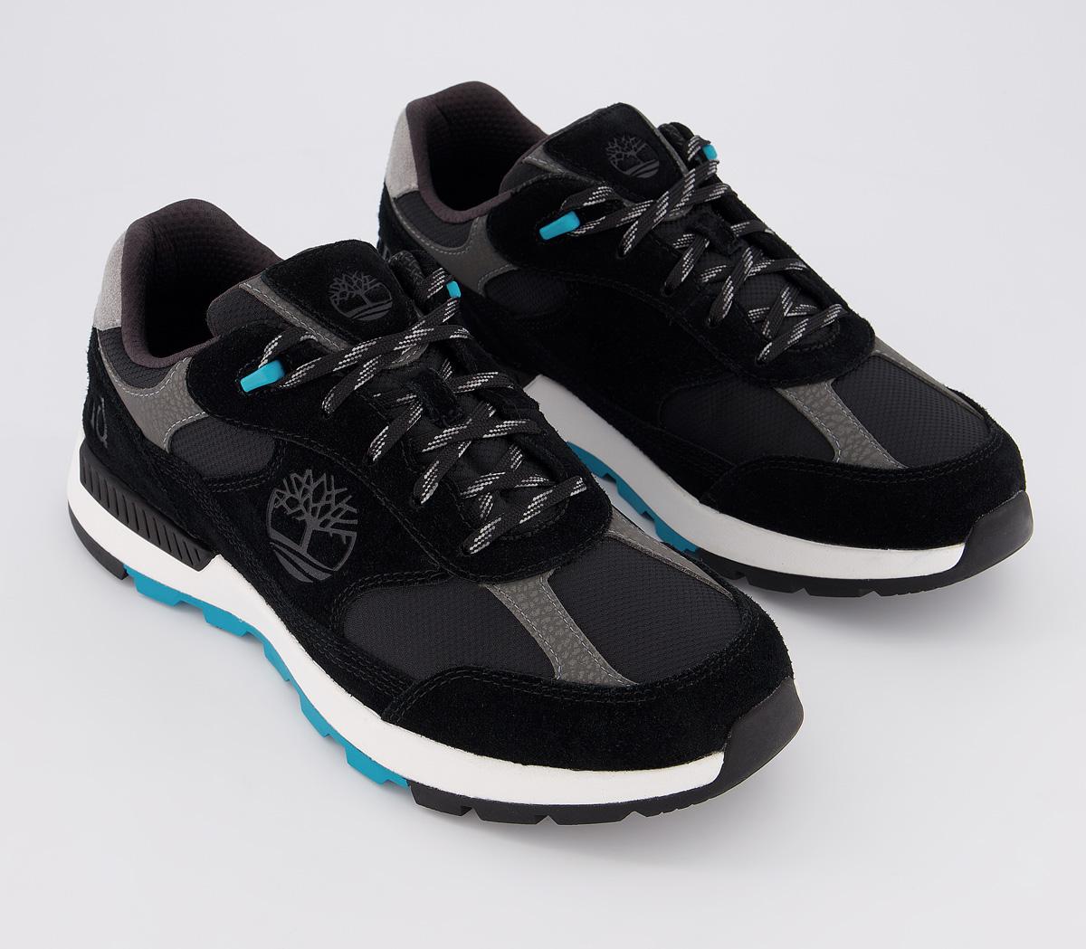 TimberlandField Trekker Low TrainersBlack Suede