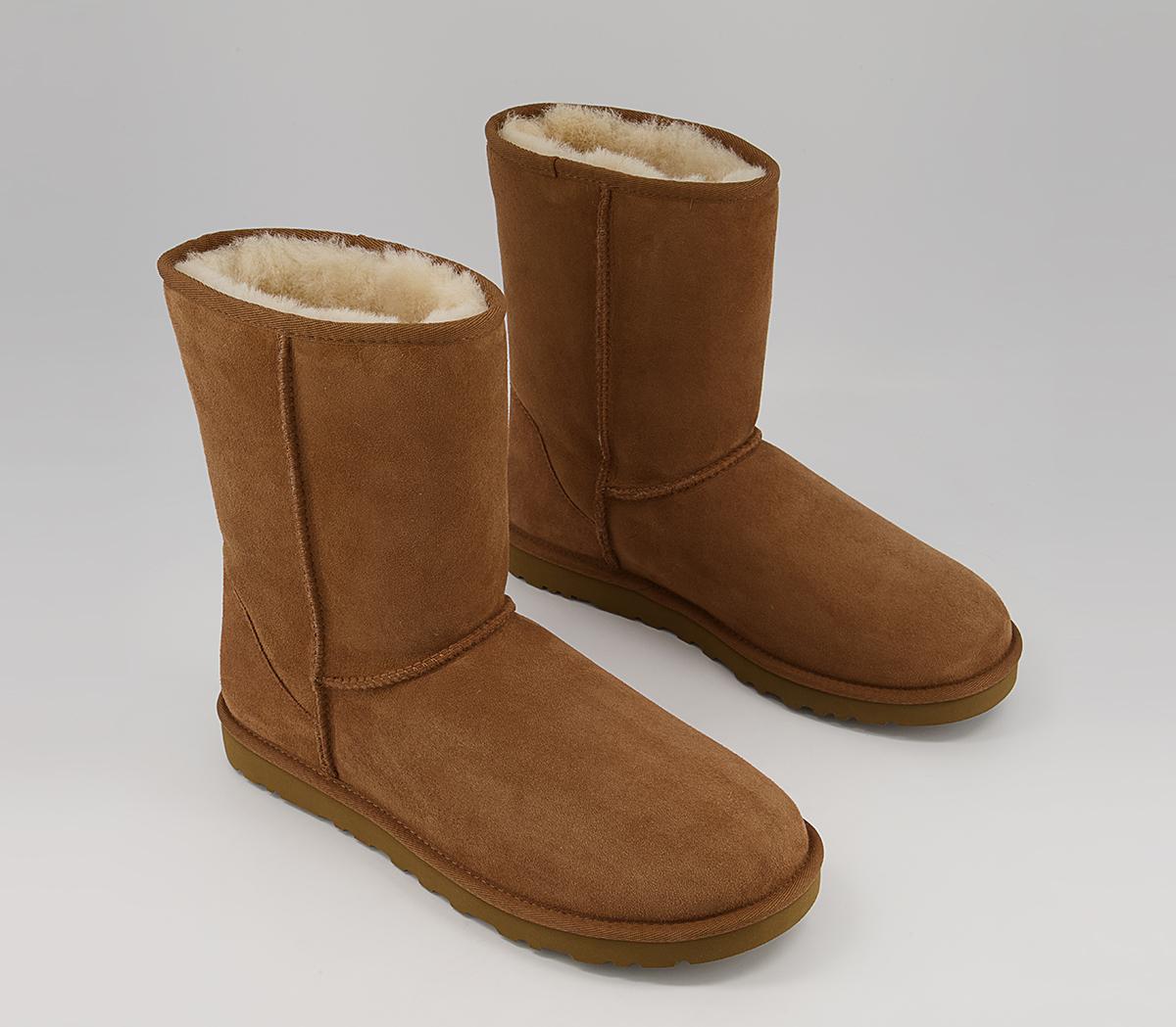 UGGClassic Short Boots MChestnut