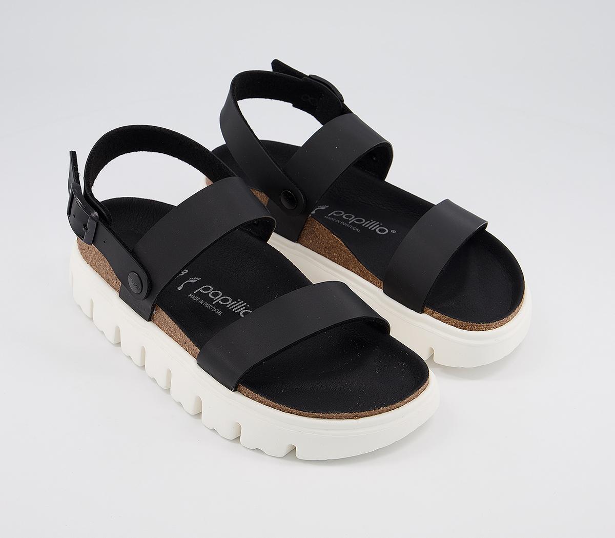 papillio chunky