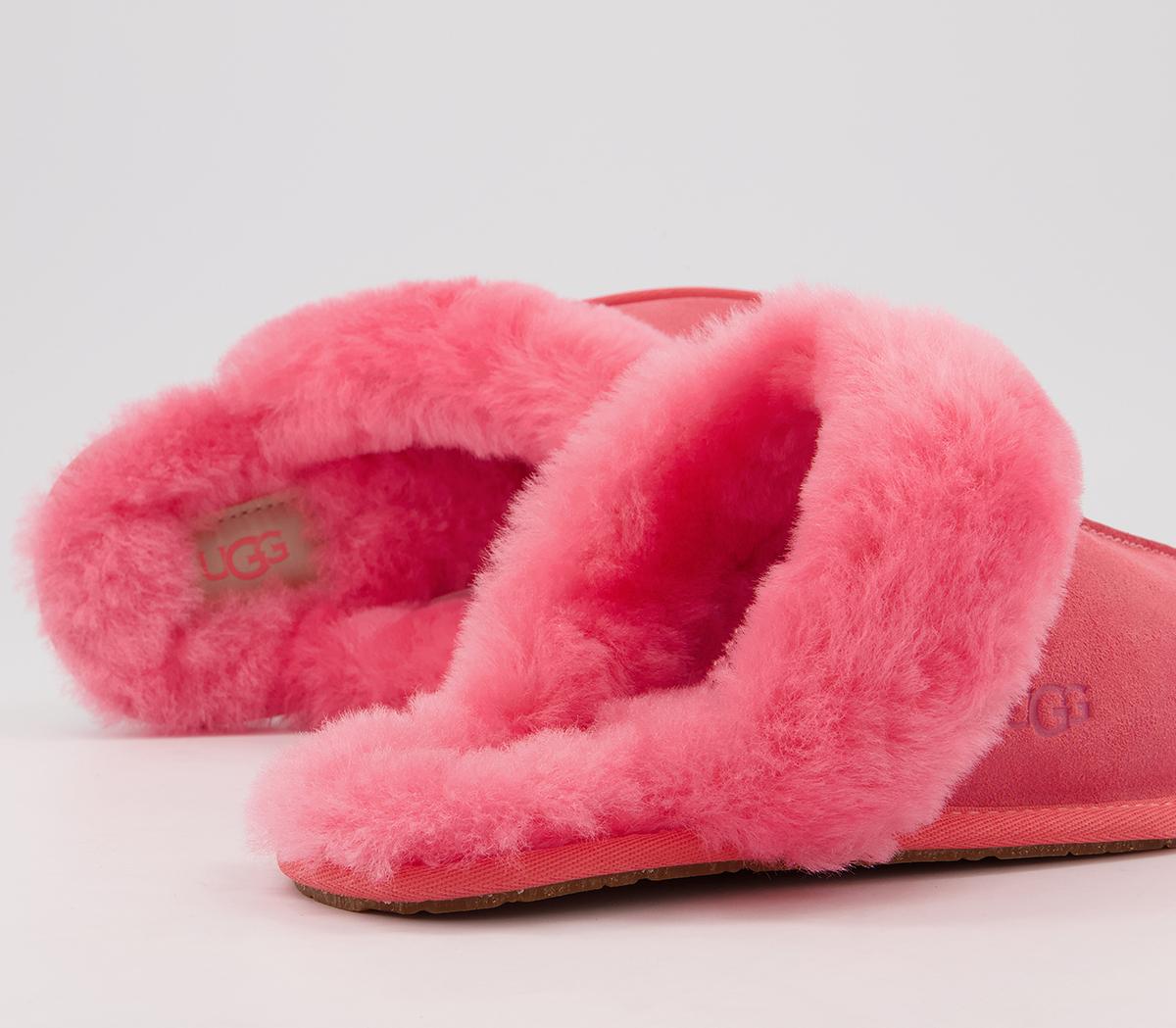 strawberry sorbet ugg slippers