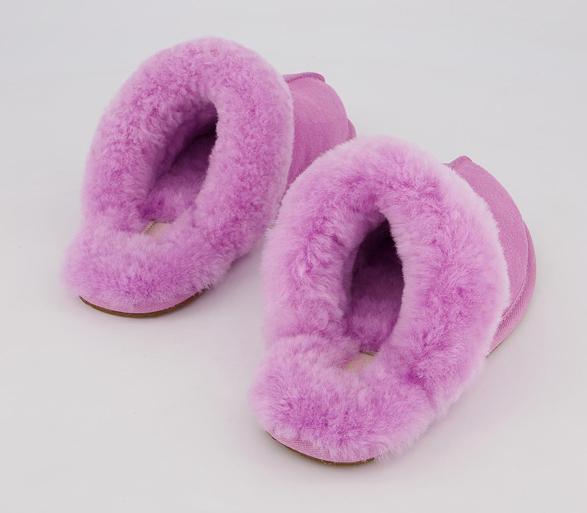 UGG Scuffette II Slippers UGG Scuffette II Slippers Wildflower