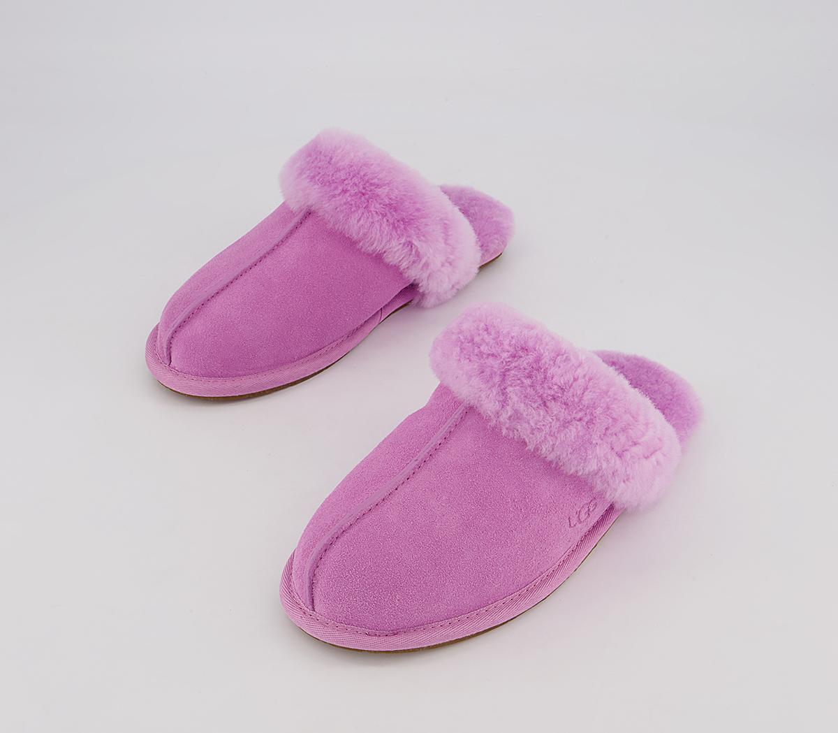 UGG Scuffette II Slippers UGG Scuffette II Slippers Wildflower