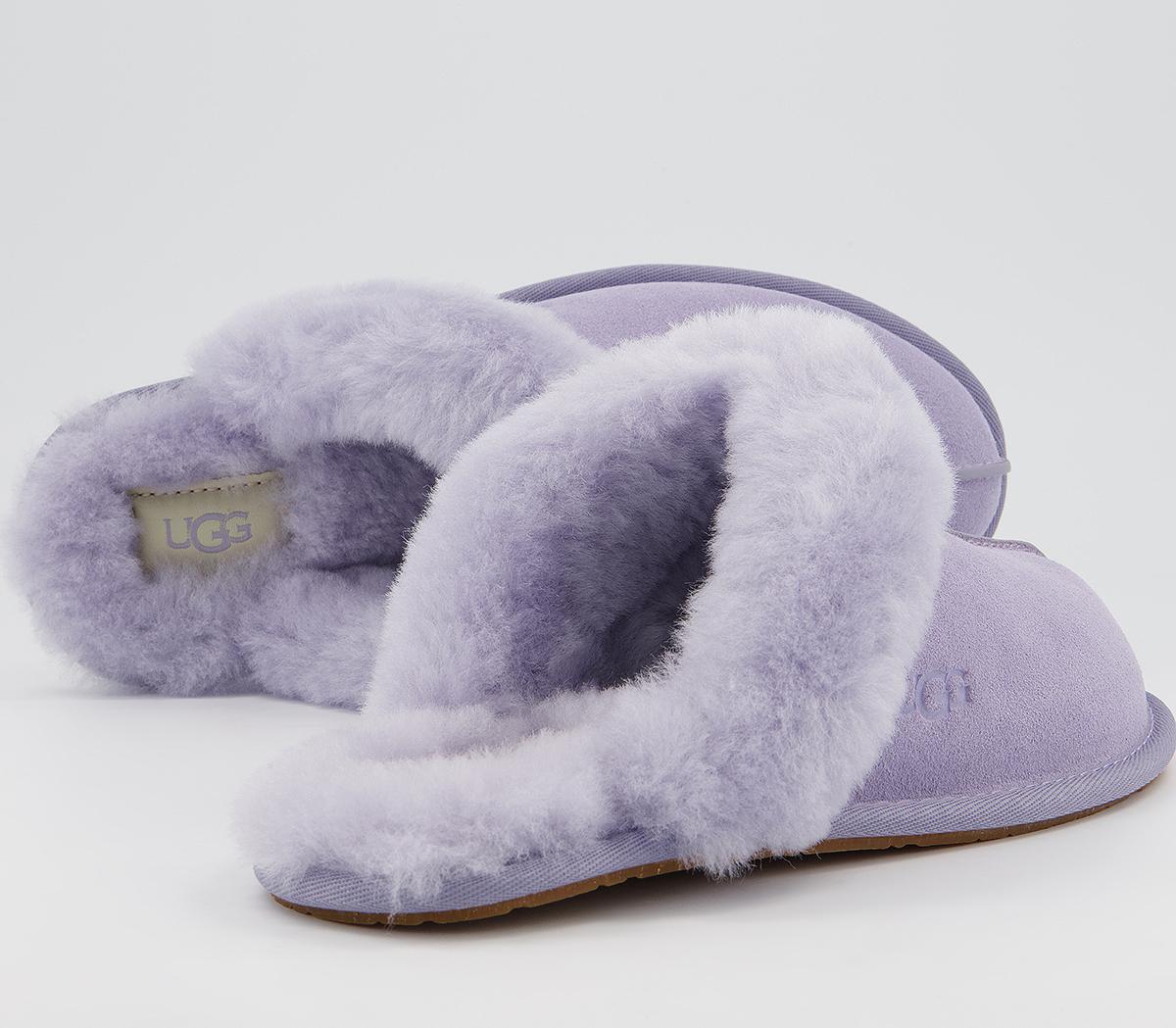 Sheepskin Slippers Ugg Scuffette Slippers June Gloom UGG June