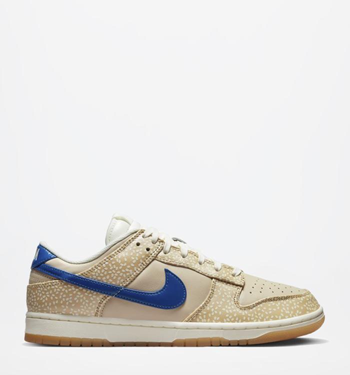 Nike Dunk | Low & High Nike Dunk Trainers | OFFSPRING